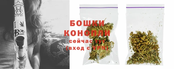 хмурый Мегион