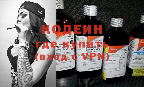 хмурый Мегион