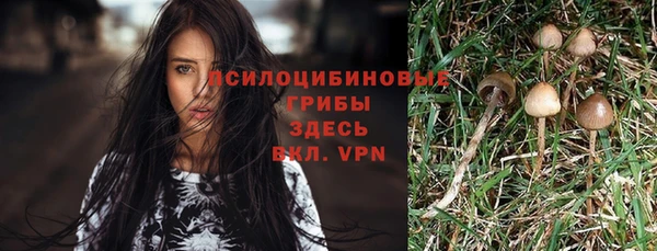 хмурый Мегион